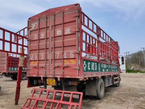 金用護欄2021年4月6日鋅鋼陽臺欄桿發貨！